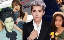 Mẹ Ngô Diệc Phàm bị bắt vì gian lận thuế