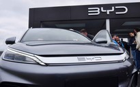 Giá cao su giảm vì BYD giảm giá ô tô điện?