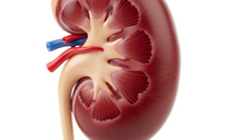 Ngày mới với tin tức sức khỏe: Cách nhận biết thận khỏe tại nhà