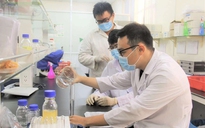 Thuê chuyên gia, nhà khoa học làm công chức lãnh đạo