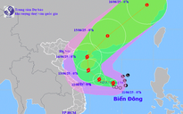 Áp thấp nhiệt đới đã mạnh lên thành bão số 1