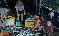 Quảng Trị - Quảng Bình: Lúa ngập, cá chết, 2 người mất tích do bão số 1
