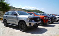 SUV 7 chỗ: Doanh số Ford Everest giảm mạnh, vẫn gấp 3 lần Toyota Fortuner