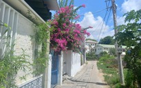 Người Quảng Ngãi ở quê có nhiều cách tiết kiệm điện 'độc, lạ'