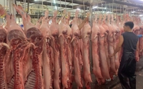 Giá heo hơi hôm nay 16.6.2025: Thị trường phía nam giữ giá cao nhất