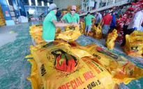 Ấn Độ xả kho, gạo Việt Nam có bị tác động?