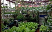 Gió và ánh sáng diệu kỳ từ ngôi nhà tuổi thơ