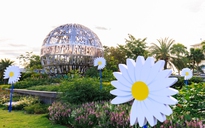 Du khách bất ngờ khi sân bay Đà Nẵng 'bắt trend' G-Dragon đến Việt Nam