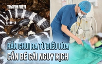 Rắn cạp nia chui ra từ điều hòa, cắn bé gái đang ngủ nguy kịch