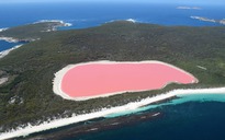 9 bí ẩn tự nhiên khoa học chưa thể giải thích