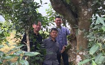 Uống trà đi!: Nghĩa đồng bào với non cao A Mú Sung