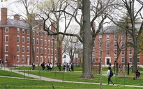 Thẩm phán Mỹ hoãn vô thời hạn lệnh cấm Đại học Harvard tuyển sinh viên quốc tế