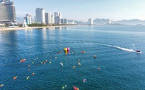 Gần 800 vận động viên tranh tài tại giải bơi biển SeaStar Nha Trang Bay 2025