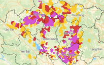 Mưa lớn trên 250 mm, 5 tỉnh nguy cơ lũ quét, sạt lở đất