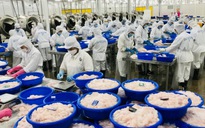Mỹ áp thuế 0% với nhiều doanh nghiệp xuất khẩu cá tra Việt Nam