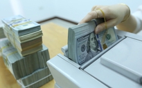 Cảnh báo chuyển giá núp bóng lãi vay