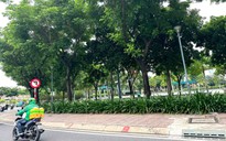 Cảm ơn bóng cây xanh nhé!