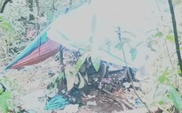 Tìm thấy thi thể người đàn ông mất tích khi hái lan rừng tại Lâm Đồng