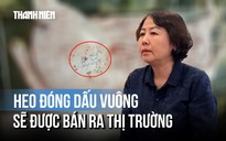Cục Thú y - Chăn nuôi: Dấu vuông đóng trên thân heo của C.P là sai