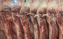 Giá heo hơi hôm nay 30.6.2025: Vào đợt giảm mạnh