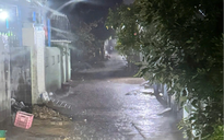 Bình Thuận: Bắt giam bị can đánh con riêng của người tình tử vong