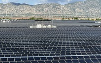 Bộ tái khẳng định 'gỡ vướng mắc giá FIT điện tái tạo' thuộc thẩm quyền EVN