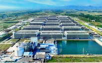 Heo ăn chay sẽ được đưa vào nuôi trong 'chung cư'