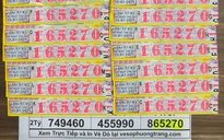 Anh phụ hồ trúng 14 tờ vé số: Nghỉ việc về quê, mua đất xây nhà