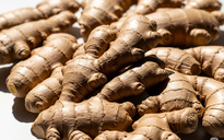 Gừng tốt cho sức khỏe hơn chúng ta nghĩ