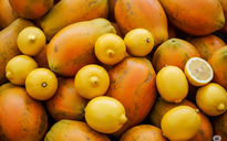 Ngày mới với tin tức sức khỏe: Vì sao không nên ăn đu đủ với chanh?