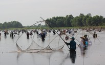 Báu vật vùng cát