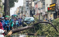 Gió lớn, cây xanh gãy đè ô tô ở trung tâm TP.HCM