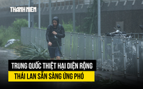 Bão Wipha gây thiệt hại ở Trung Quốc, Thái Lan lập 'phòng tác chiến'