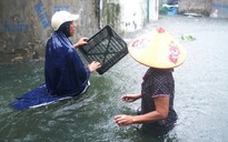 Bão số 3 mạnh cấp 8, Hà Nội mưa giông trở lại