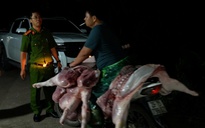 'Chỉ thấy công an, quản lý thị trường bắt lợn dịch, thế thú y đi đâu'