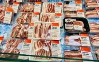 Giá heo hơi hôm nay 24.7.2025: Mất đến 7.000 đồng/kg