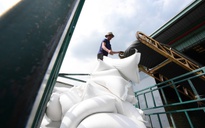 Thái Lan quyết cạnh tranh với gạo Việt Nam tại thị trường số 1 thế giới