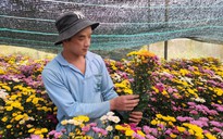 Lâm Viên - Đà Lạt, nơi hội tụ các làng hoa nổi tiếng