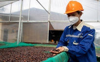 Vì sao gạo, cà phê kiến nghị bỏ thuế VAT?