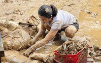 Nghệ An nỗ lực khắc phục hậu quả lũ lụt