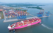 TP.HCM: Phường Tân Phước có cụm cảng biển sâu nhất Việt Nam