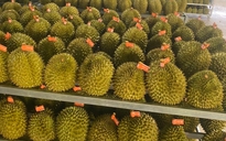 Xuất khẩu sầu riêng đông lạnh tăng 3 lần