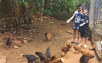 Chuyện nhà tôi đồng tâm hiệp lực tiết kiệm điện