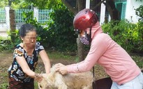 Đồng Nai: Người đàn ông tử vong do chó dại liếm vào tay