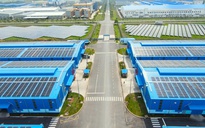 Khu kho cảng Thành Thành Công: Mắt xích logistics liền mạch và hiệu quả