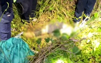 Tạm dừng hoạt động dù lượn ở bán đảo Sơn Trà sau vụ tai nạn chết người