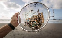 Báo động hạt vi nhựa trong nhà, gấp nhiều lần vẫn tưởng