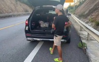 Quảng Trị: Đỗ ô tô trên làn dừng khẩn cấp cao tốc để... xuống sông câu cá