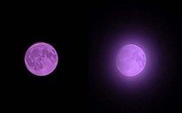 Galaxy S25 Ultra gặp sự cố chụp ảnh mặt trăng chuyển sang màu tím