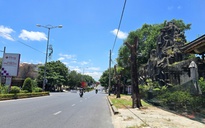 Quảng Trị: Rà soát giữ lại cây xanh, không chặt hạ tất cả khi cải tạo đường